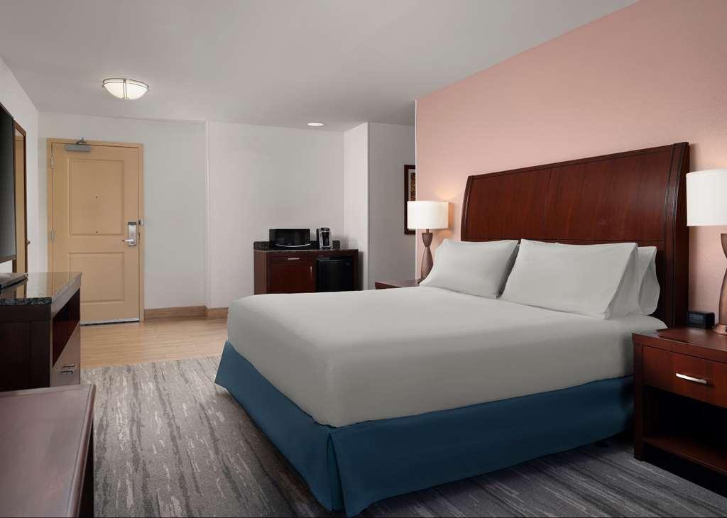Hilton Garden Inn Ann Arbor Room photo